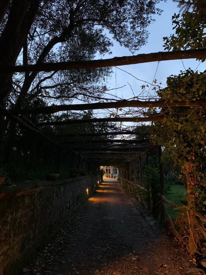Sunrise Luxury Experience Bed and Breakfast Piano di Sorrento Buitenkant foto