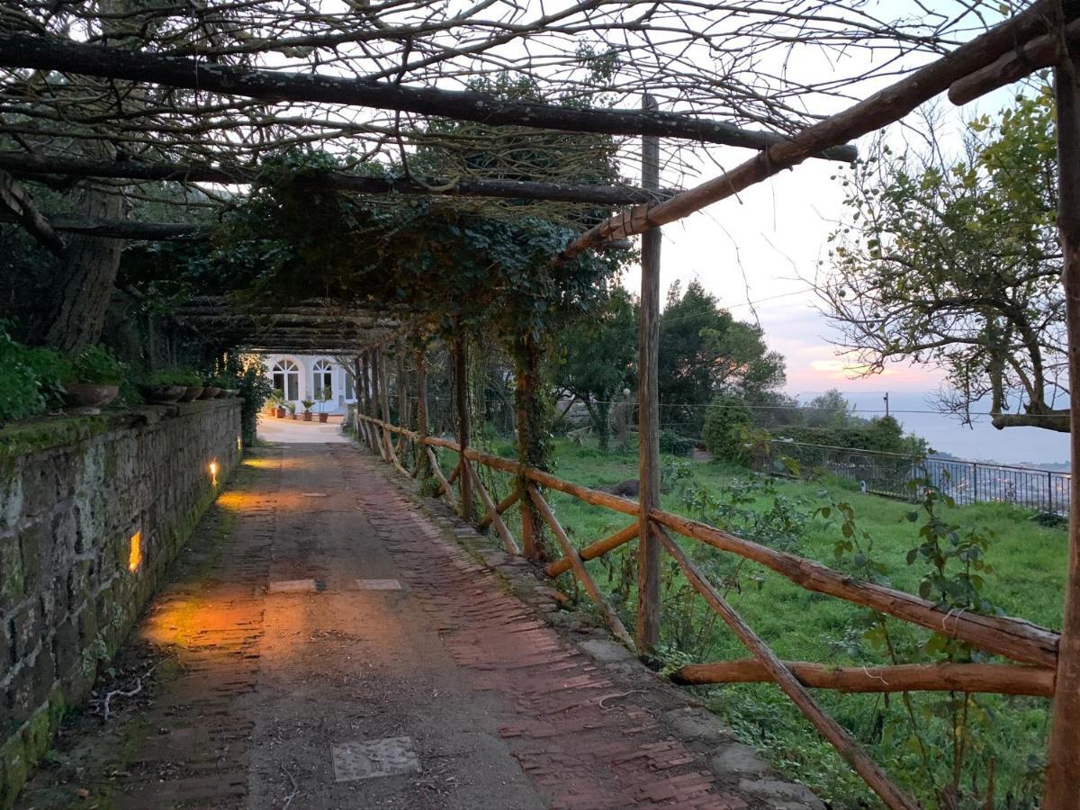 Sunrise Luxury Experience Bed and Breakfast Piano di Sorrento Buitenkant foto